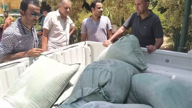 محافظ أسيوط يؤكد تكثيف الحملات الرقابية بالمراكز والأحياء