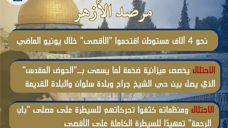 مرصد الأزهر: مخطط 