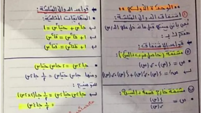 مراجعة نهائية تفاضل وتكامل للثانوية العامة..تضمن لك التفوق