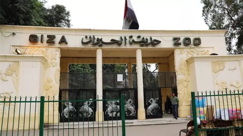 الزراعة: بدء تطوير حديقة الحيوان وضغط البرنامج الزمني لإعادة فتحها