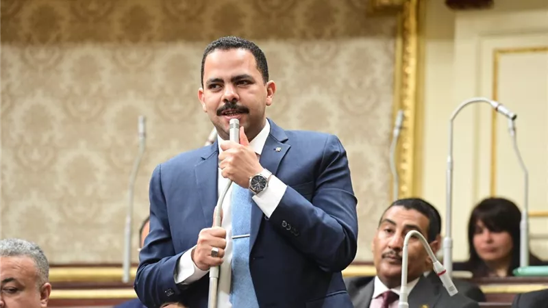 أشرف رشاد يطالب بتدخل دولي لحماية الفلسطينيين من العدوان