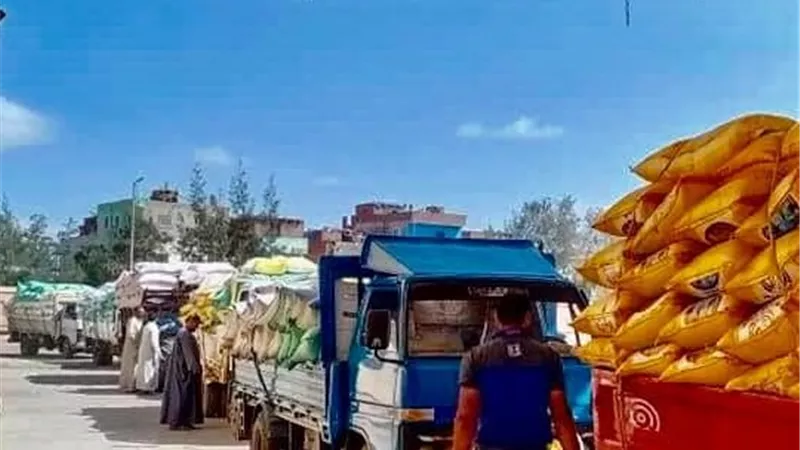 محافظ كفر الشيخ: توريد 261 ألف و27 طن من محصول القمح