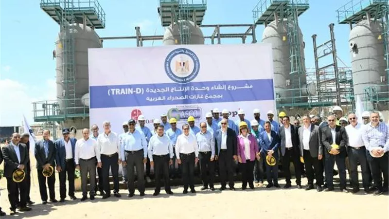 الملا: مجمع غازات الصحراء الغربية يخدم احتياجات السوق المحلى