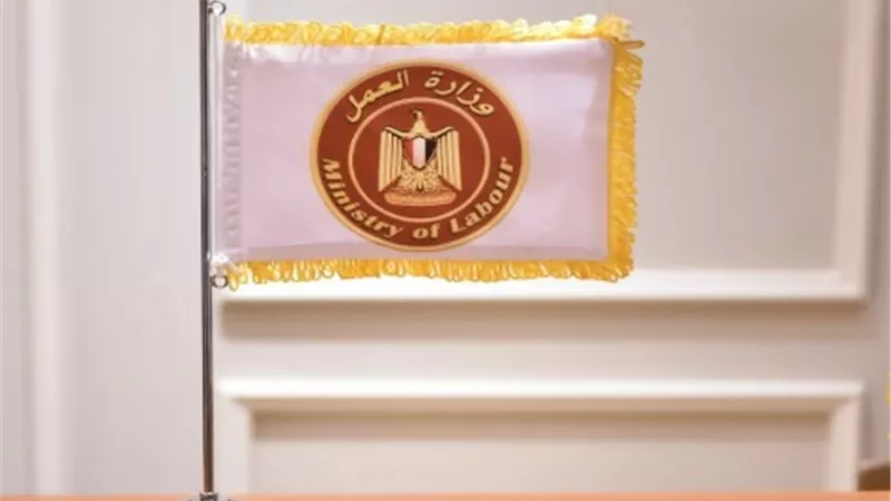 وزارة العمل: فتح باب التقديم للتدريب المهني لشباب القاهرة.. غدا