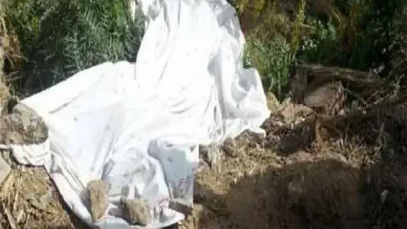 العثور على جثة شاب بها شبهة جنائية بأرض زراعية بمنيا القمح