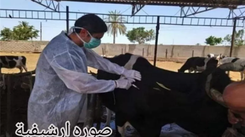 السبت..انطلاق الحملة القومية