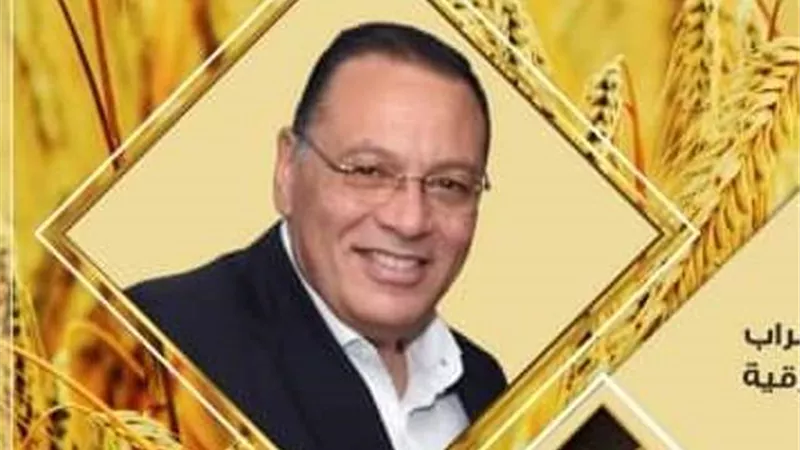 صوامع وشون الشرقية تستقبل ٥٣٤٩٢٦ طن و٥٥٨ كيلو قمح