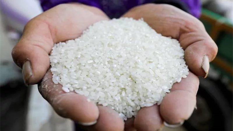 التموين: طرح الأرز الأبيض البلدي بـ 25 جنيهًا بالمجمعات الاستهلاكية
