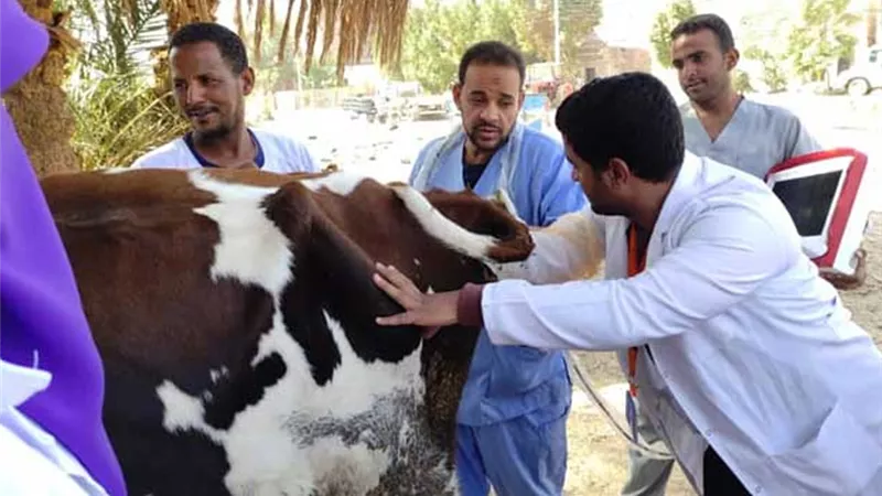 قافلة بيطرية بالقرى بالتعاون بين طب بيطرى وجامعة كفرالشيخ