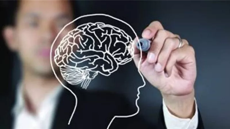 اكتشاف خلايا عصبية داخل الدماغ تنظم مستويات السكر..اعرف التفاصيل