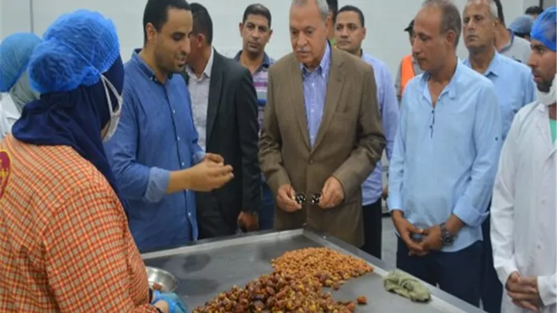 الهجان: الدولة حريصة على تقديم مختلف التيسيرات لجذب المستثمرين