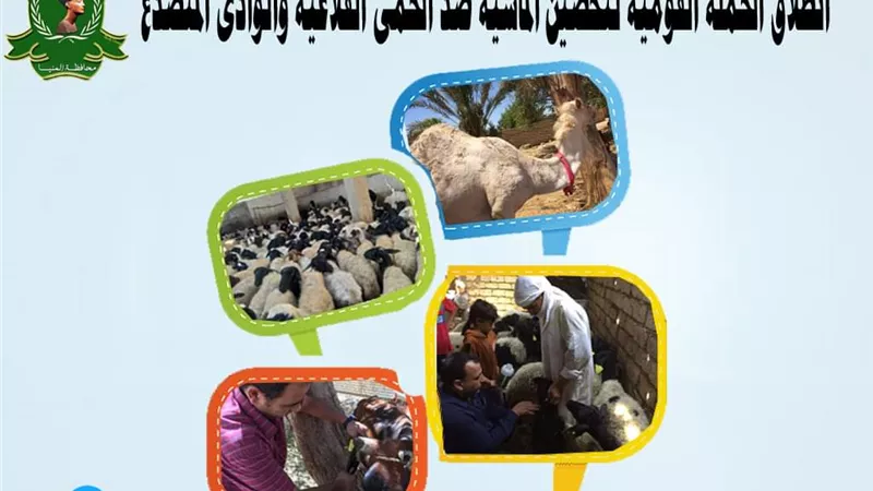 السبت القادم انطلاق الحملة القومية لتحصين الماشية ضد الحمى