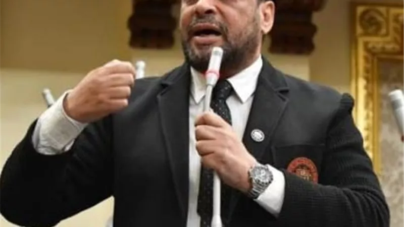 نائب: دعوة مصر لعقد قمة دول جوار السودان يستهدف الحفاظ على الدولة