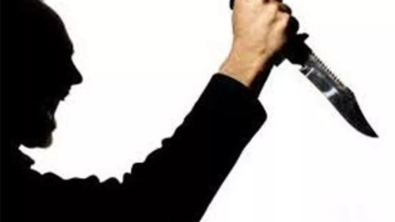 شاب يعالج نفسياً طعن أمه حتى الموت فى البحيرة