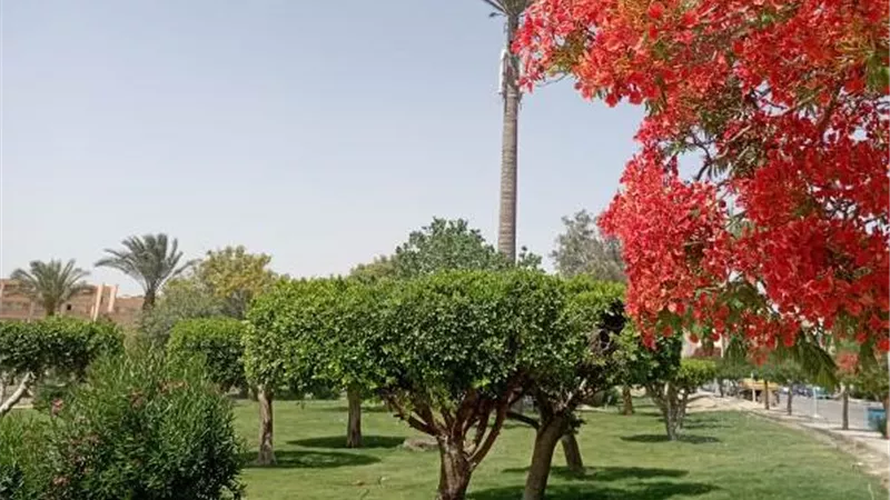 بشرة خيرة من جهاز 15 مايو عن مشروعات الزراعة والتجميل.. صور