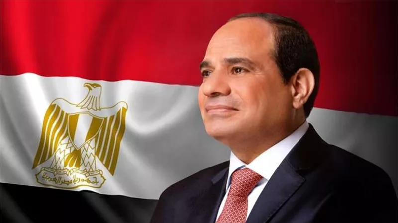 متحدث الرئاسة:جهود مصريةلتعزيزالتكامل الاقتصادي والتنميةبأفريقيا