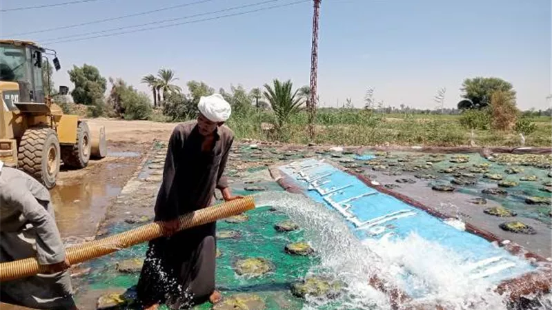 صيانة الأعطال الكهربية ورفع كفاءة الإنارة بشوارع أبومناع في دشنا
