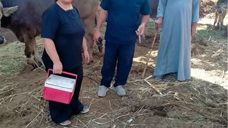 حملة لتطعيم الماشية ضد الحمى القلاعية والوادي المتصدع بأبوقاص