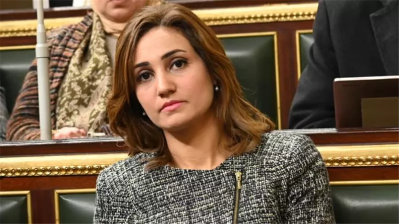 برلمانية: قانون التحالف الوطنى يساهم فى التوسع بالأنشطة التنموية