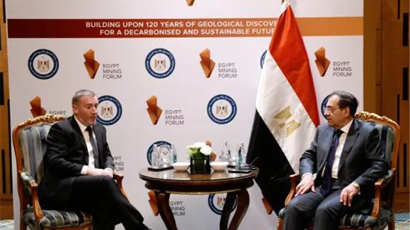 وزير البترول يلتقي رئيس 