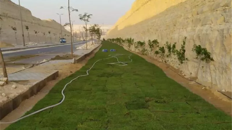 جهاز 15 مايو يكشف عن أحدث أعمال الزراعة والتجميل فى المدينة.. صور