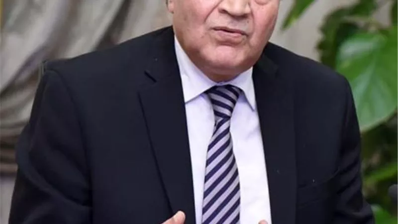مصيلحي:مصر تدرس الحصول على منح تمويلية من الامارات لشراء الاقماح