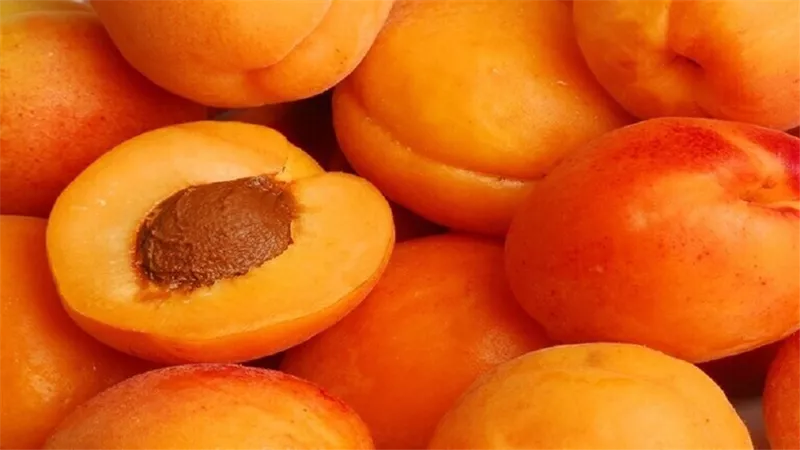 طبيبة توضح تأثير المشمش على القلب