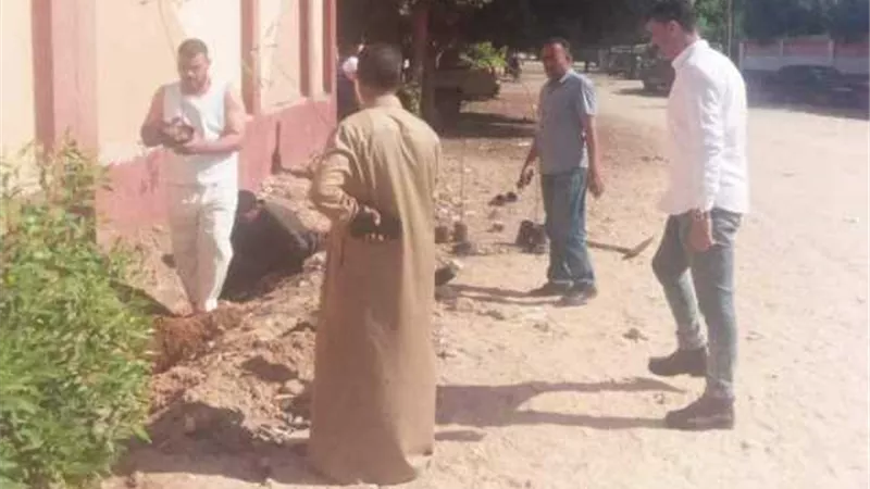 زراعة أشجار مثمرة و للزينة فى المنيا