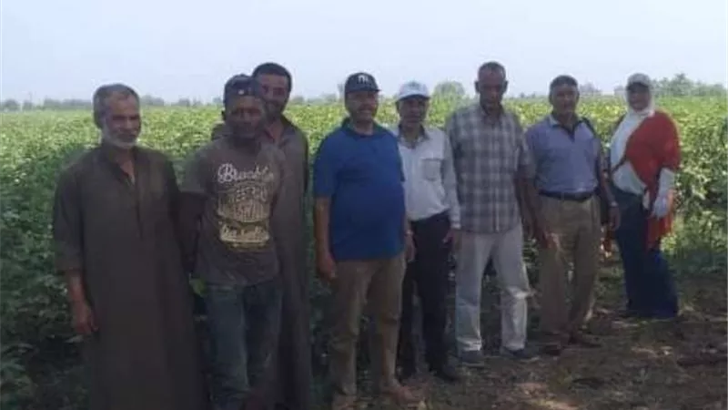 ندوة إرشادية عن زراعة محصول القطن لمزارعي قرية الربعماية