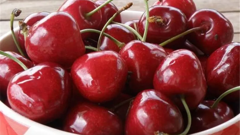 5 فوائد للكرز يقدمها لصحتك ..تعرف عليها