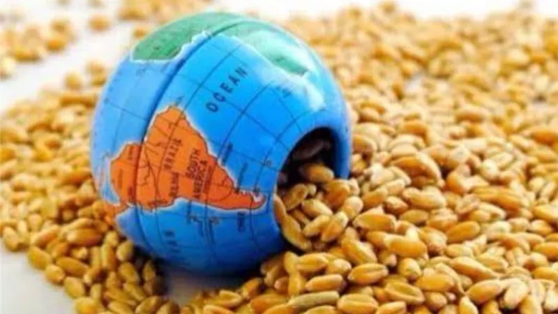 العلماء يحذرون: موجات الحر المتتالية تهدد الأمن الغذائي العالمي