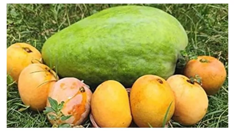 5 فوائد صحية للمانجو