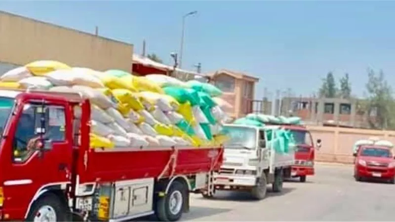 محافظ كفر الشيخ: توريد أكثر من 262 ألف طن قمح للصوامع