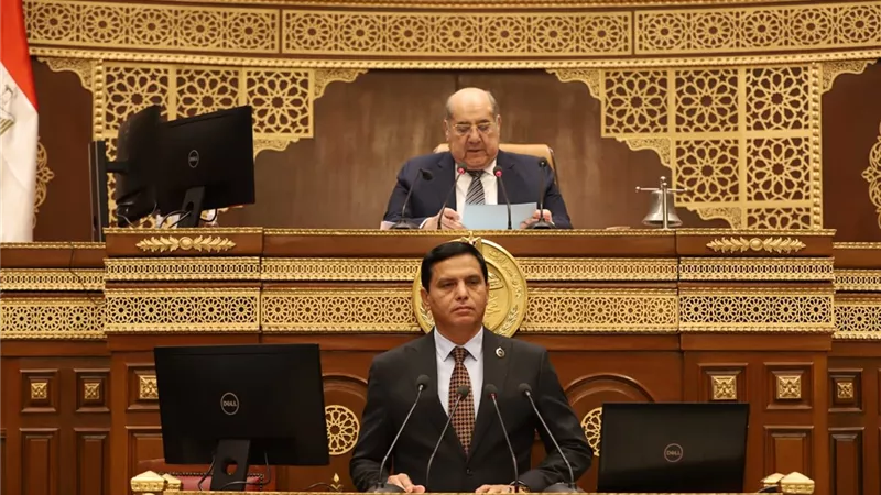 نصير: الشعب المصري لدية عزيمة راسخة وثابته في مواصلة البناء