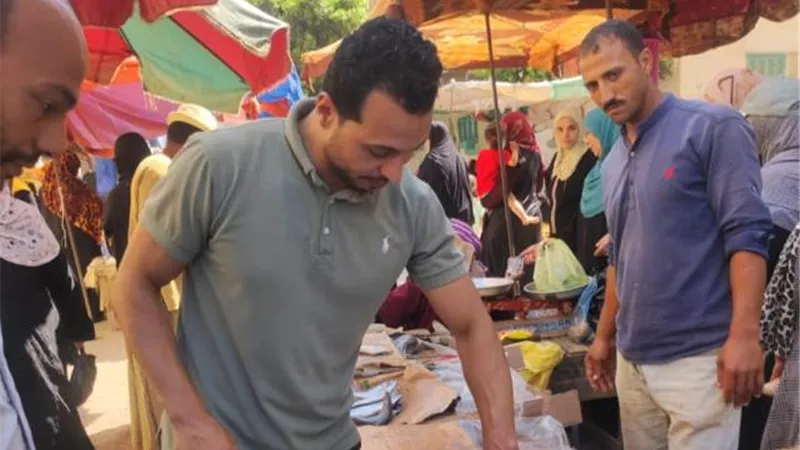 صحة الشرقية: ضبط وإعدام٤٨طن أغذية و٣٩٦منشأة مخالفة