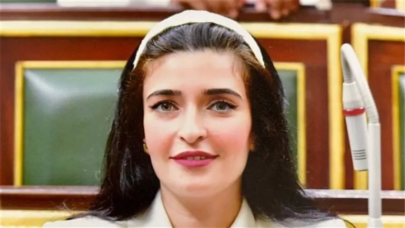 إيرين سعيد: هيئة سلامة الغذاء تخالف القانون