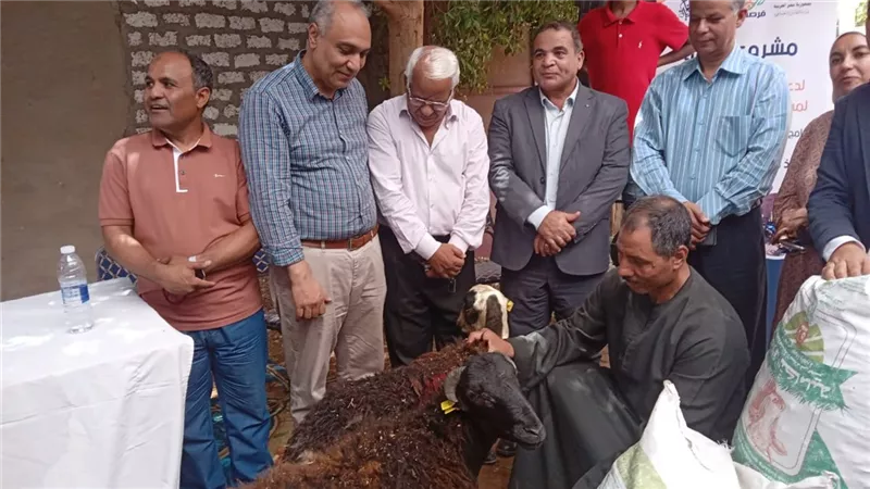 ٧٥ رأس غنم لعدد ٣٧ أسرة فى مشروع 