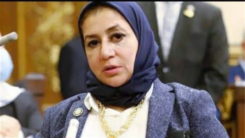 النائبة حنان عبده: 11 مليون مريض سكر في خطر بسبب نقص الأنسولين