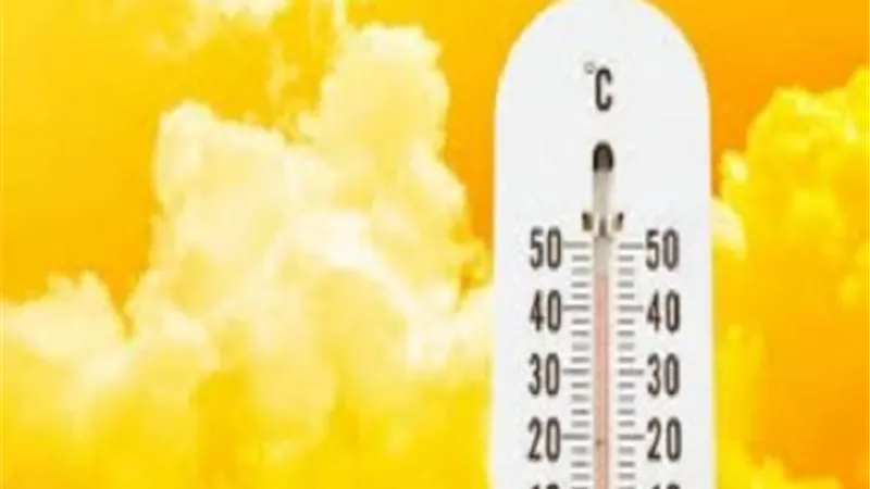 تصل لـ 48 درجة.. خبير بيئي يحذر من ارتفاع درجات الحرارة العام المقبل