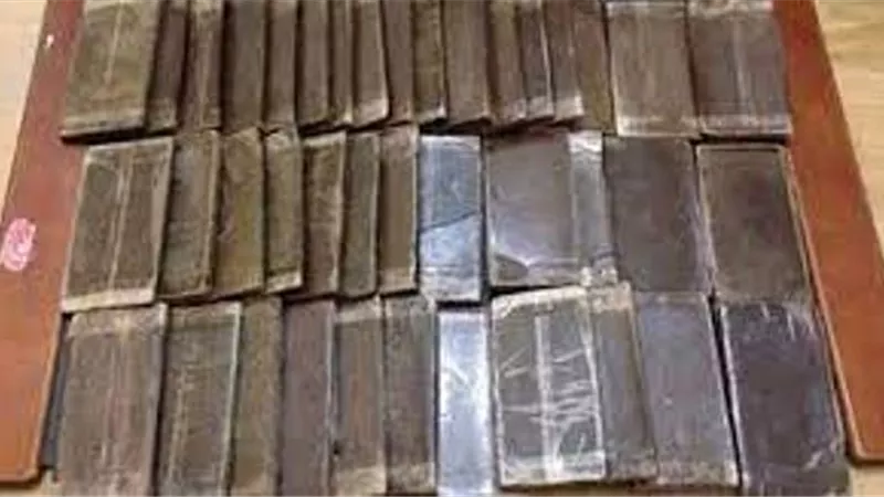 حبس تاجر مخدرات بـحوزتة 100 طربة حشيش في أكتوبر