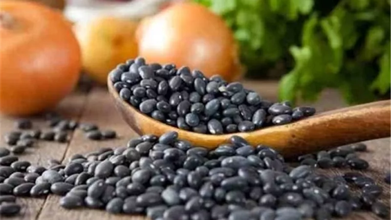 6 فوائد هامة لزيت حبة البركة