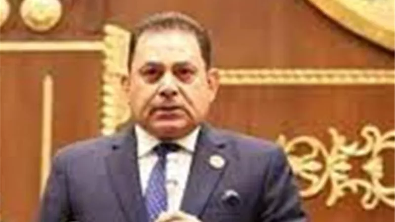 النائب فرج فتحى: مصر بوابة العالم لأفريقيا