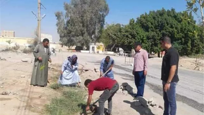 زراعة أشجار مثمرة وأخرى للزينة بمركزي سمالوط ومطاي