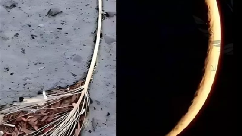ما معنى العرجون فى قوله تعالى حتى عَادَ كَالْعُرْجُونِ الْقَدِيمِ