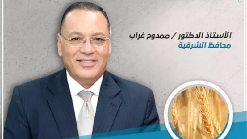 توريد ٥٣٥٩٢٤ طن و٧٧٣ كيلو ذهب أصفر لصوامع الشرقية