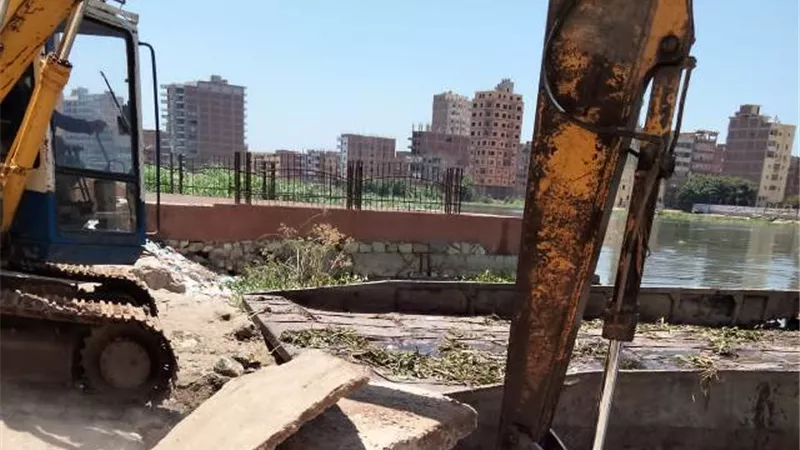 ازاله 141 حالة تعدى بالدقهلية
