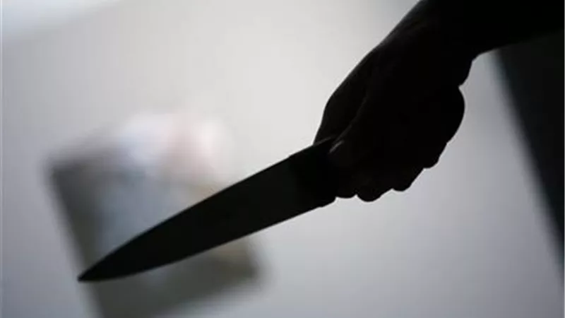 جزار ينهي حياة متسول طمعاً في أمواله بكفر الشيخ