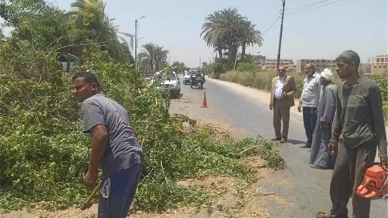 تواصل مراكز المنيا أعمال تخطيط وتجميل المدن وزراعة الاشجار