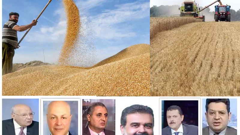 مصر مركزا لتوزيع الحبوب في الدول الأفريقية