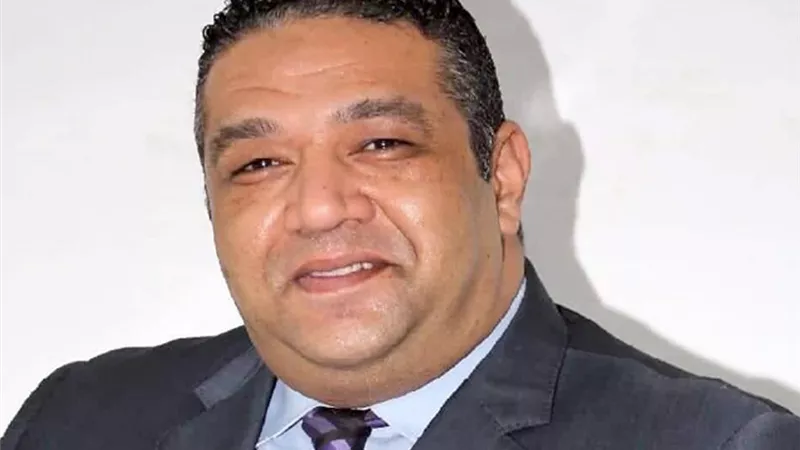 نائب التنسيقية : مصر تشهد تحولا يتطلب تطوير النظام الانتخابى
